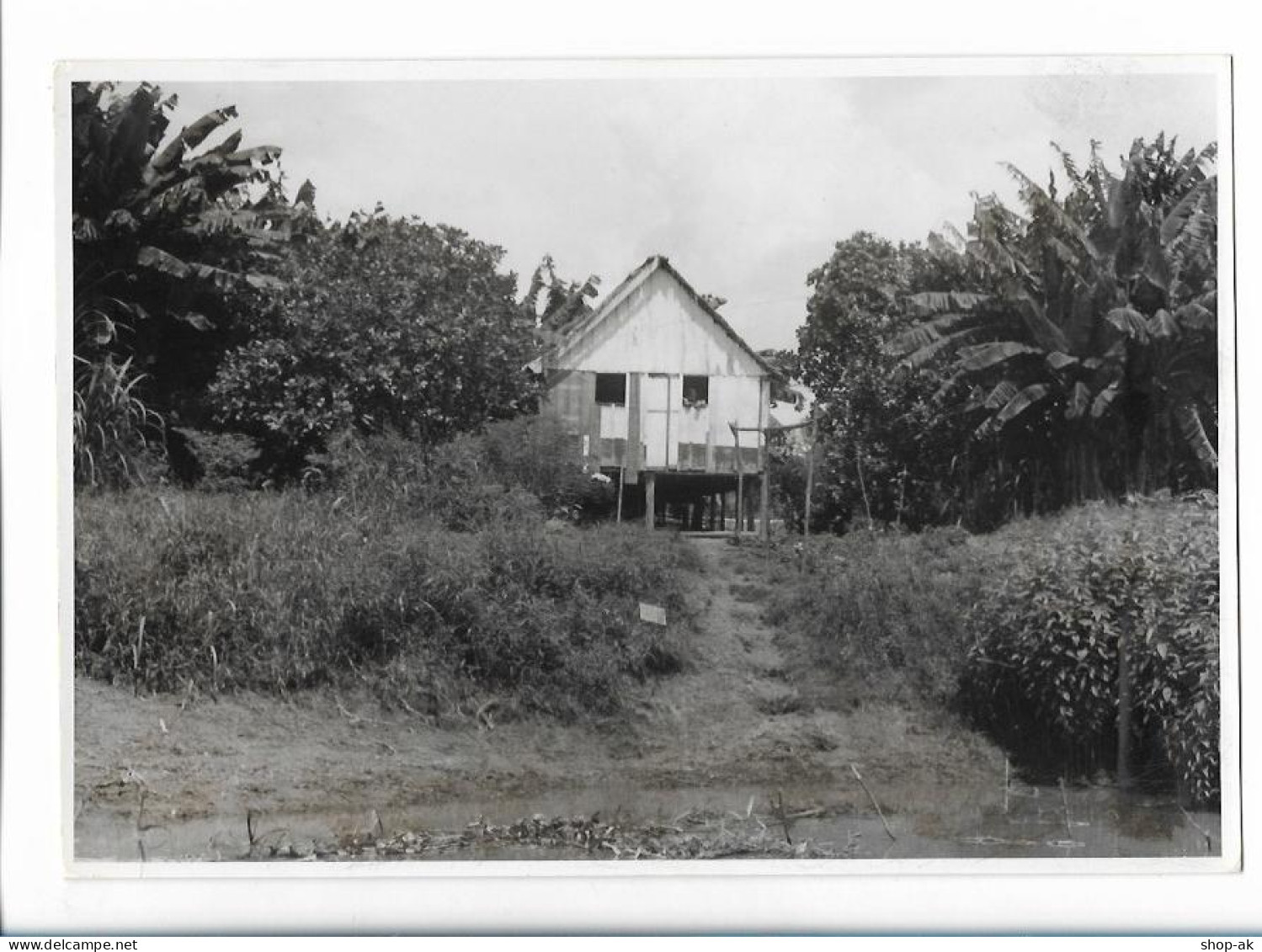 C5100/ Manaus Brasilien Indiohütte  Foto 21 X 14,5 Cm AK 1959 - Altri & Non Classificati