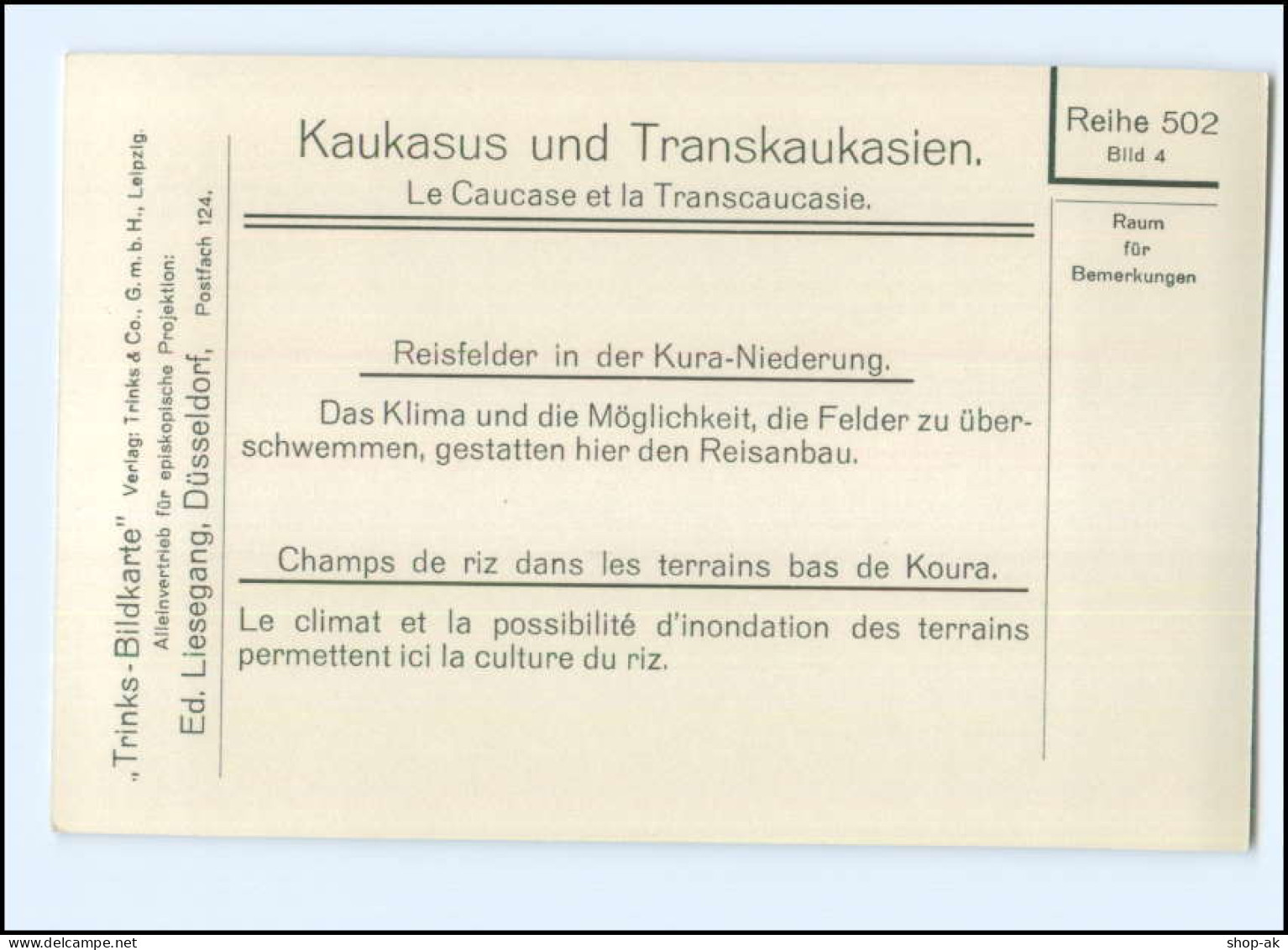 S3651/ Kaukasus Kura-Niederung Rußland Foto Trinks-Bildkarte AK-Format Ca.1925 - Rusland