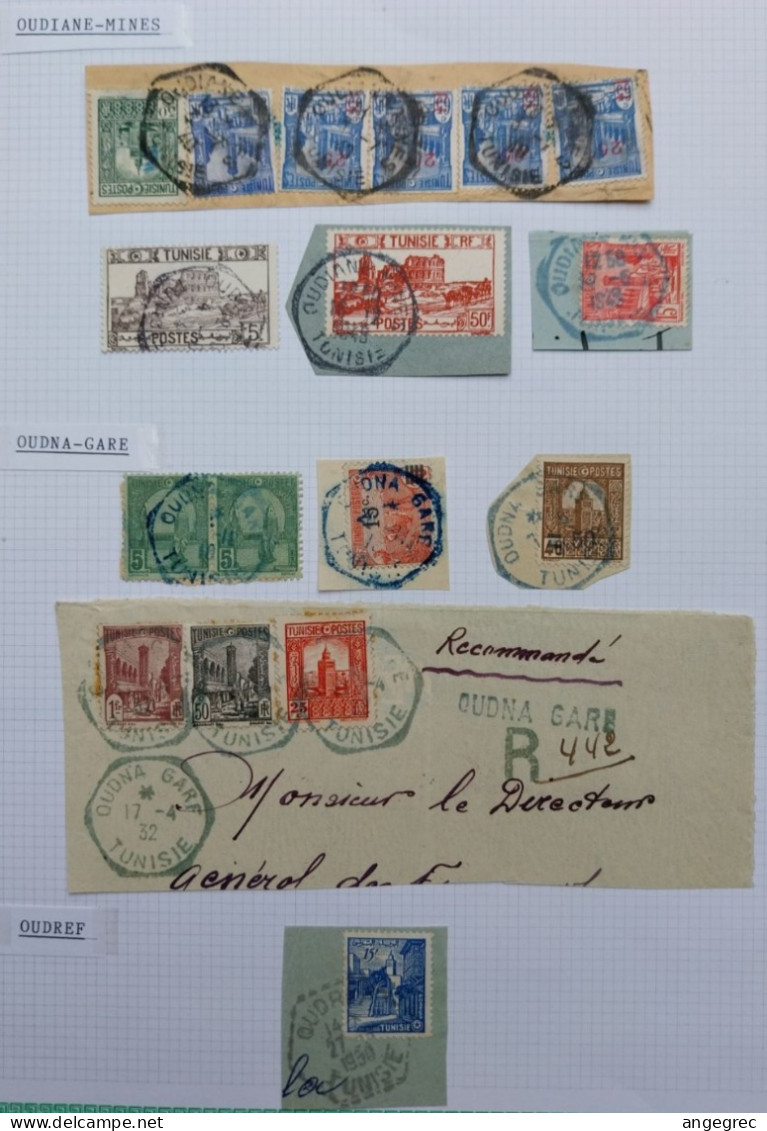 Tunisie Lot Timbre Oblitération Choisies Oudiane Mines, Oudna Gare, Oudref, Cachet Bleu  à Voir - Used Stamps