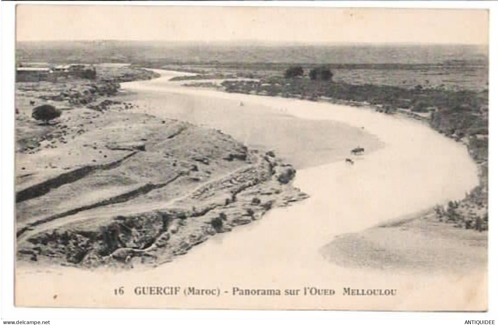 GUERCIF - Panorama Sur L'Oued Melloulou - (Vers 1925) - - Other & Unclassified