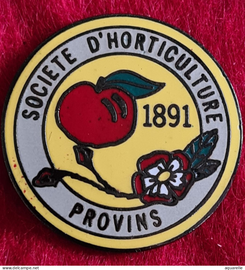 SUPER PIN'S "SOCIETE D'HORTICULTURE Depuis 1891 à PROVINS Signé DEMONS Et MERVEILLES - Associations