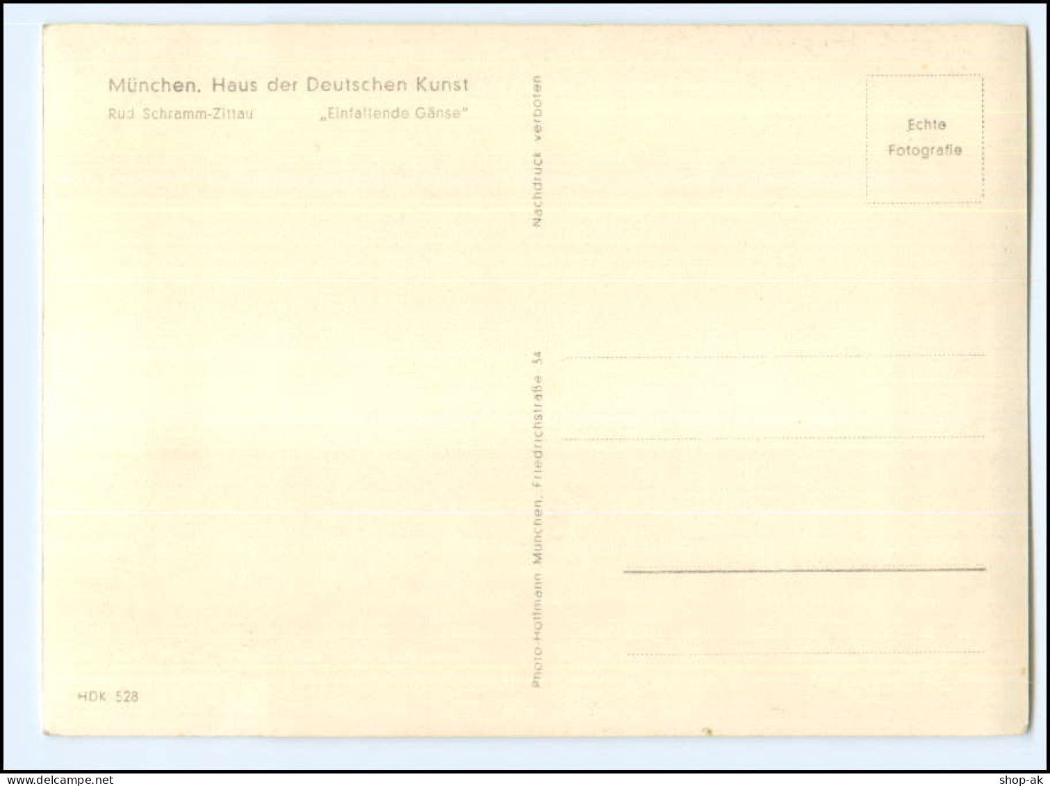 Y24350/ HDK Nr. 528 Haus Der Deutsche Kunst Foto AK Einfallende Gänse  - Guerre 1939-45