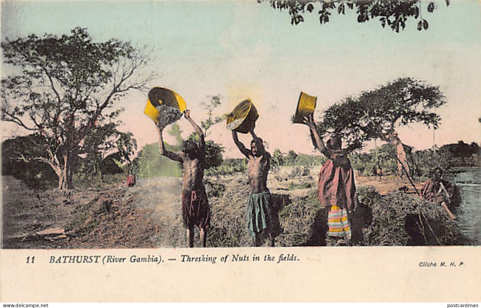 Gambia - BATHURST - Threshing Of Nuts In The Field - Publ. M.H.P. 11 - Gambie