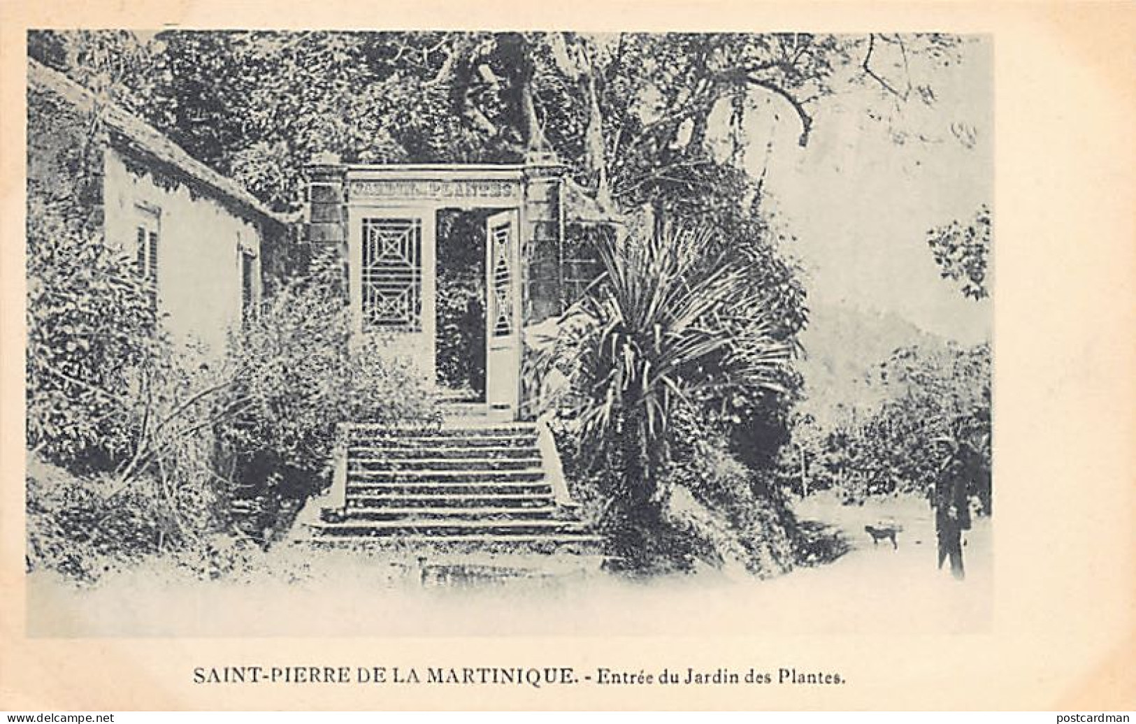 Martinique - SAINT-PIERRE - Entrée Du Jardin Des Plantes - Ed. Inconnu  - Altri & Non Classificati