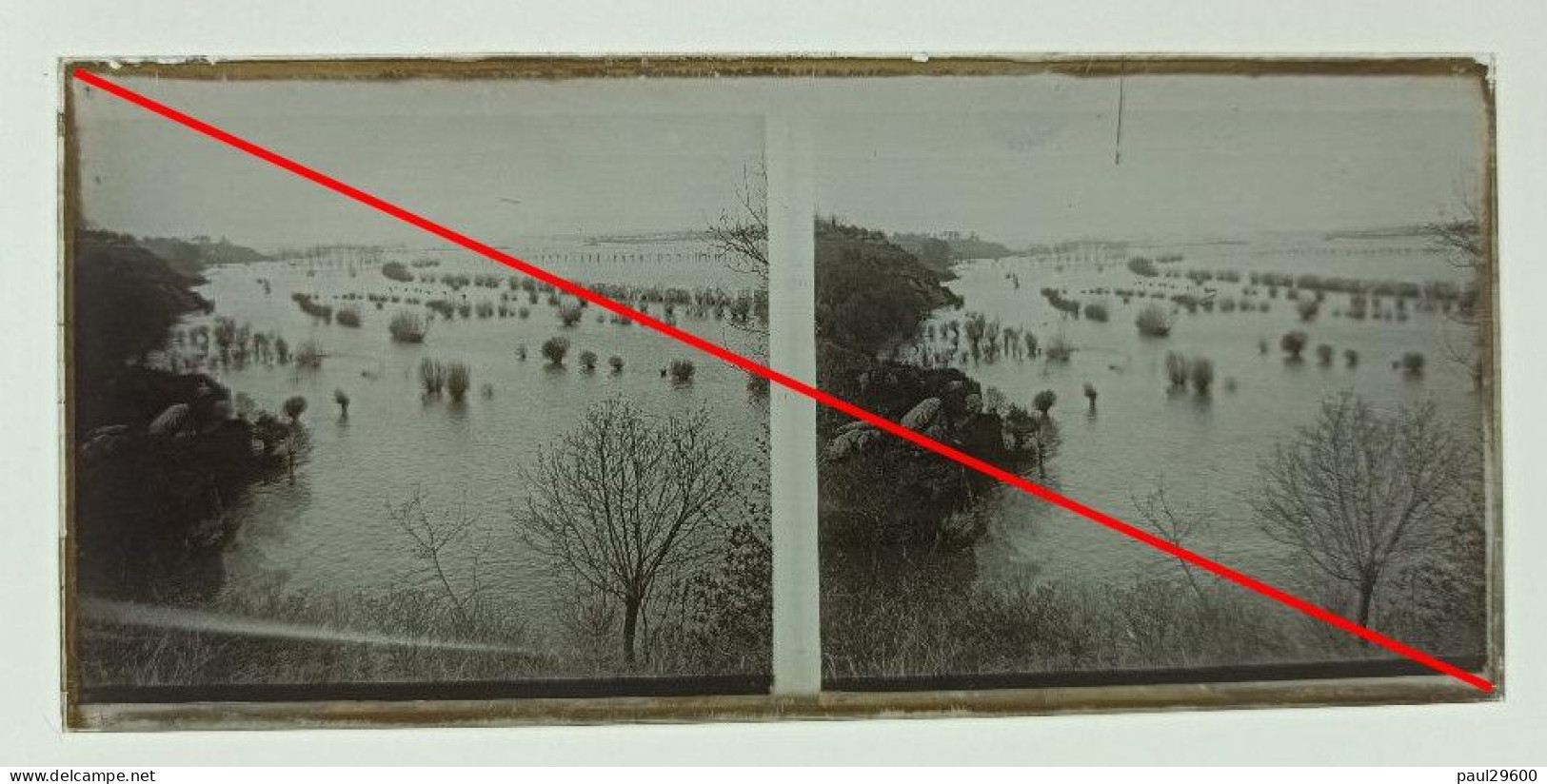Photo Sur Plaque De Verre, Cour D'eau, Inondation, Champs, Arbres, Années 1930. - Plaques De Verre