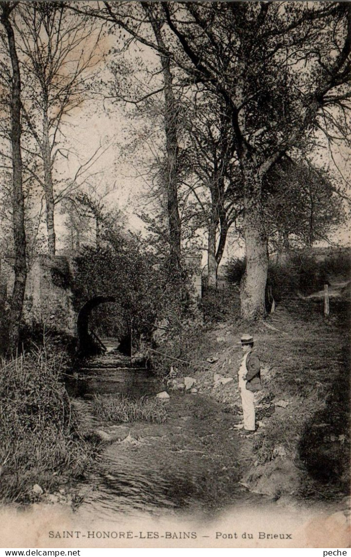 N°183 W -cpa Saint Honoré Les Bains -pont Du Brieux- - Saint-Honoré-les-Bains