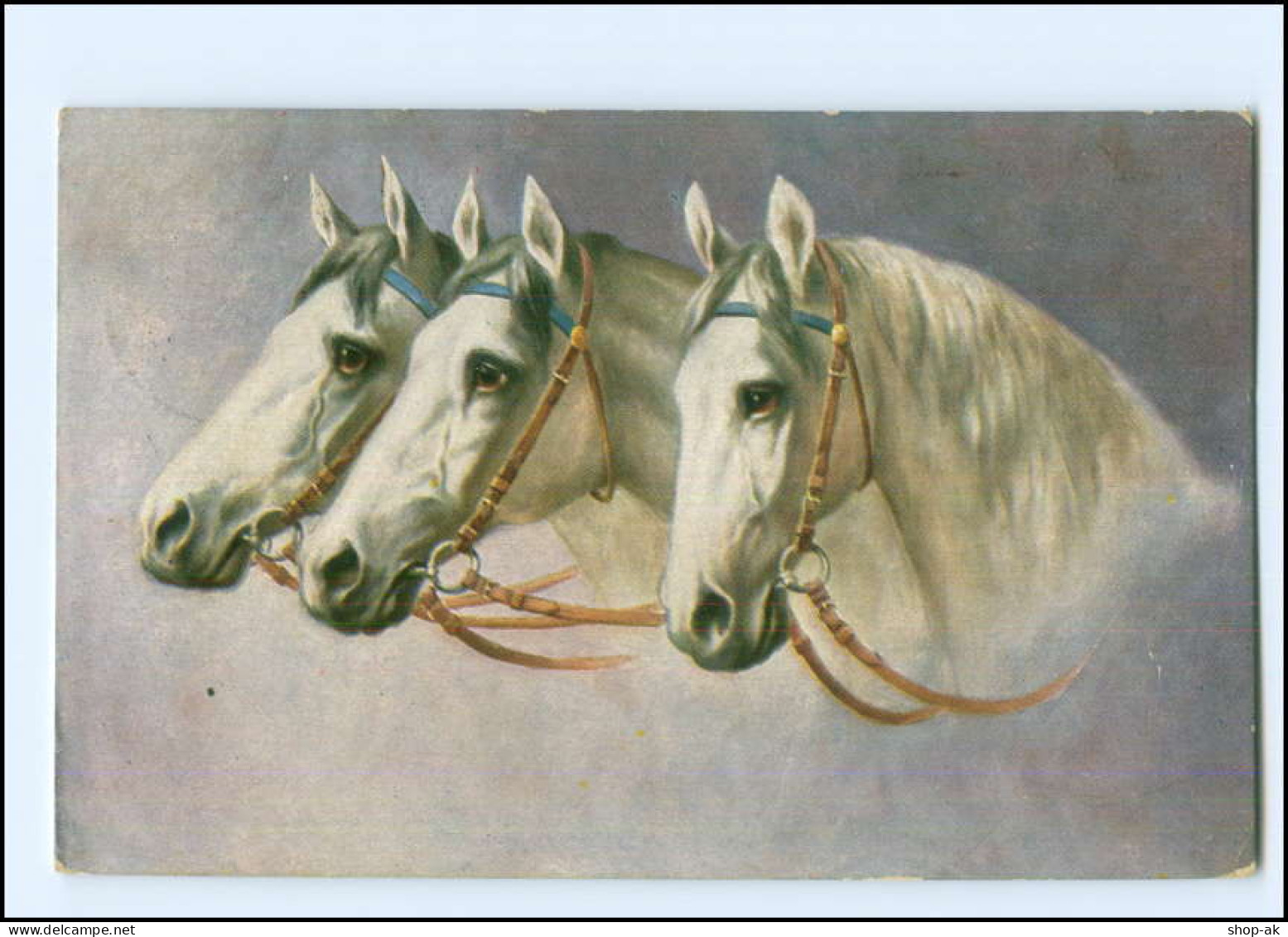 XX11713/ Pferde Schöne AK 1914 - Horses