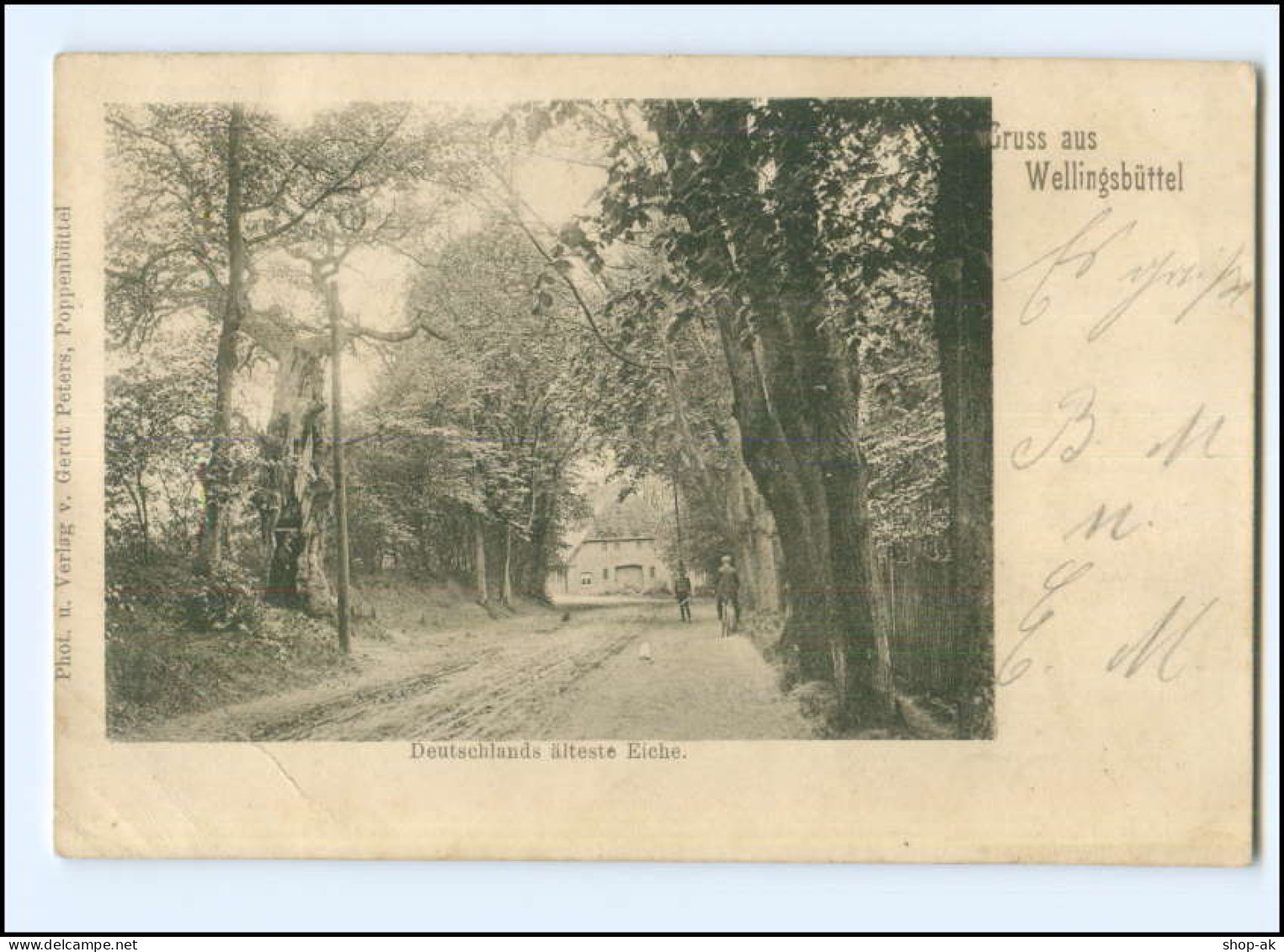 U8216/ Hamburg Wellingsbüttel Deutschlands älteste Eiche AK 1901 - Wandsbek