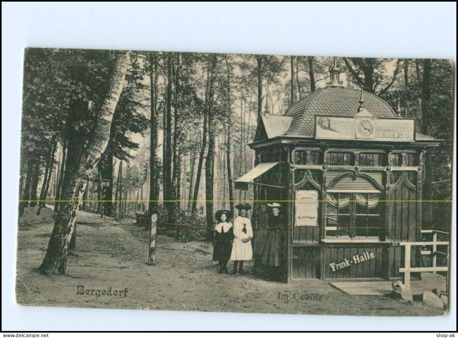 XX005232/ Hamburg Bergedorf Trinkhalle Im Gehölz AK Ca.1910  - Bergedorf