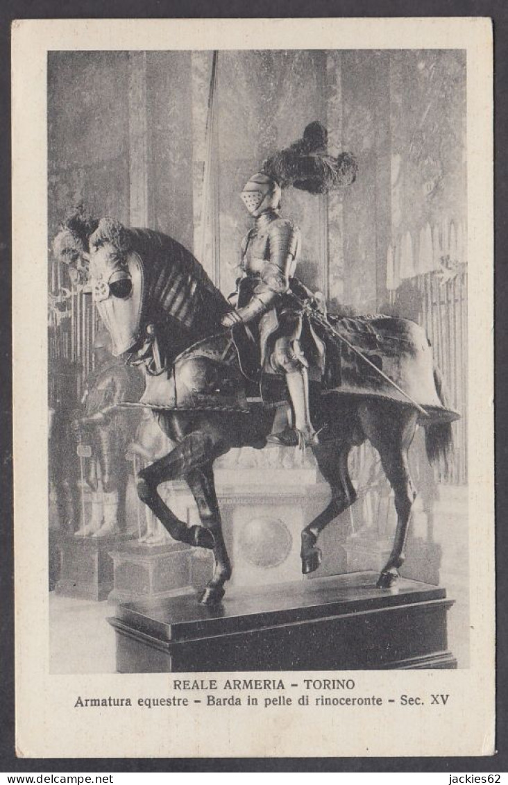 120300/ TORINO, Armeria Reale, Armatura Equestre, Barda In Pelle Di Rinoceronte, Sec XV - Museen