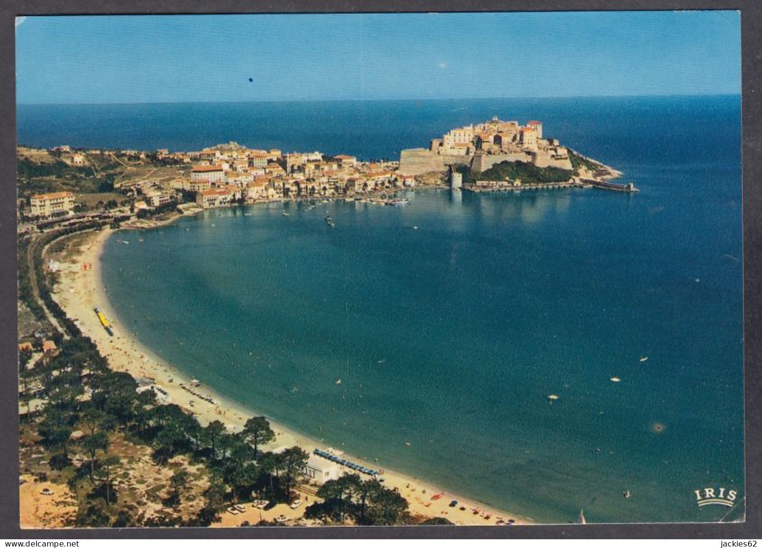 128074/ CALVI, Vue D'ensemble, La Pinède, La Plage, La Ville Et La Citadelle - Calvi