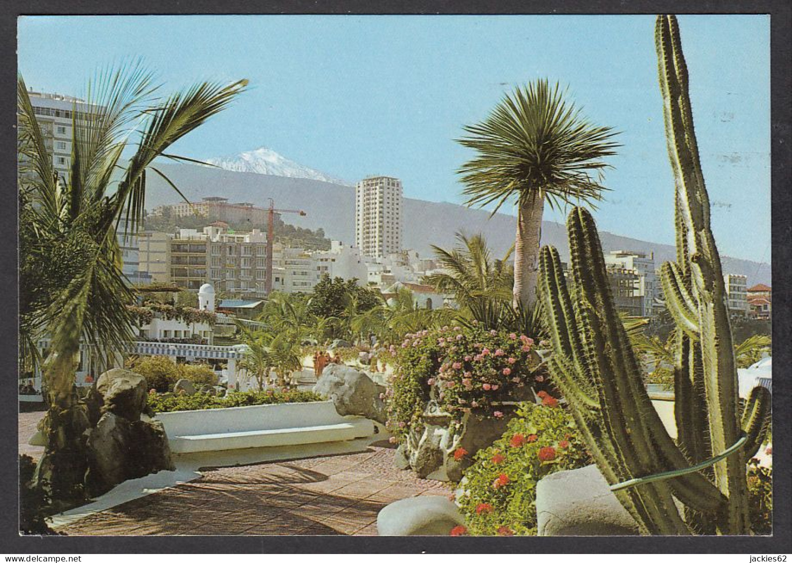 108686/ PUERTO DE LA CRUZ, Plantas Tipicas Con El Teide - Tenerife