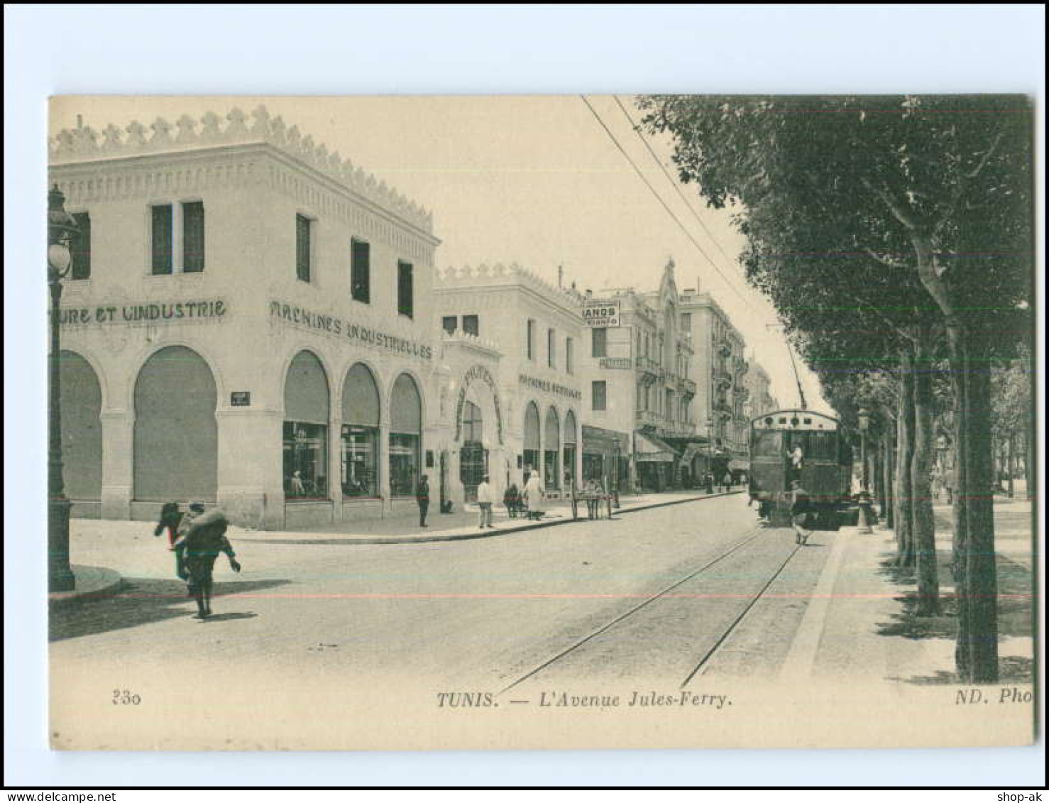 XX004488/ Tunis L`Avenue Jules-Ferry Straßenbahn AK Tunesien Ca.1912 - Ohne Zuordnung