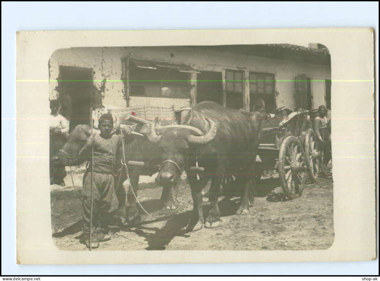 U4955/ Serbischer Ochsenwagen Mit Büffel  Foto Ak Serbien 1916 - Serbie