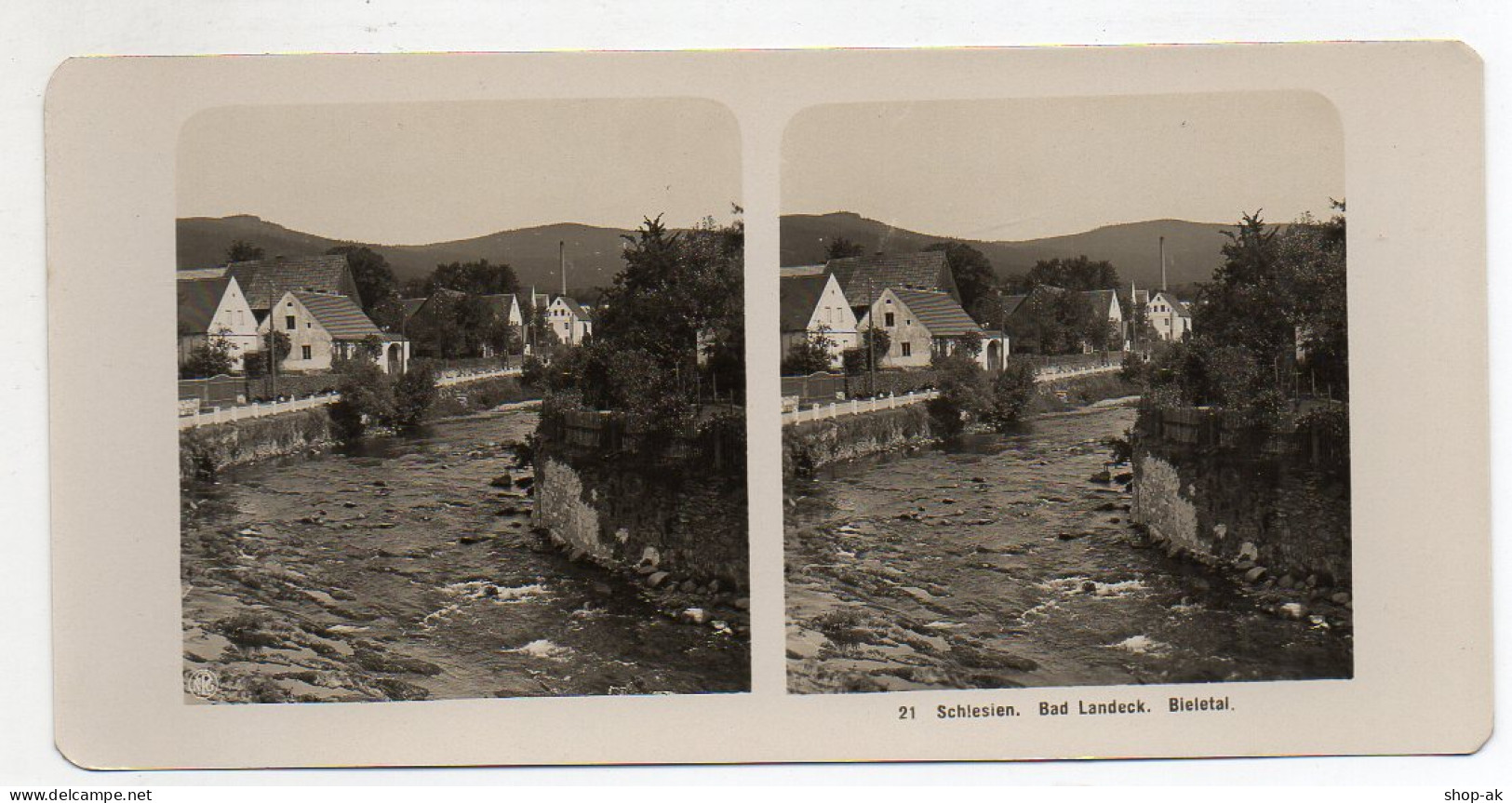 AK-0508/ Bad Landeck  Bieletal Schlesien NPG Stereofoto Ca.1905  - Ohne Zuordnung