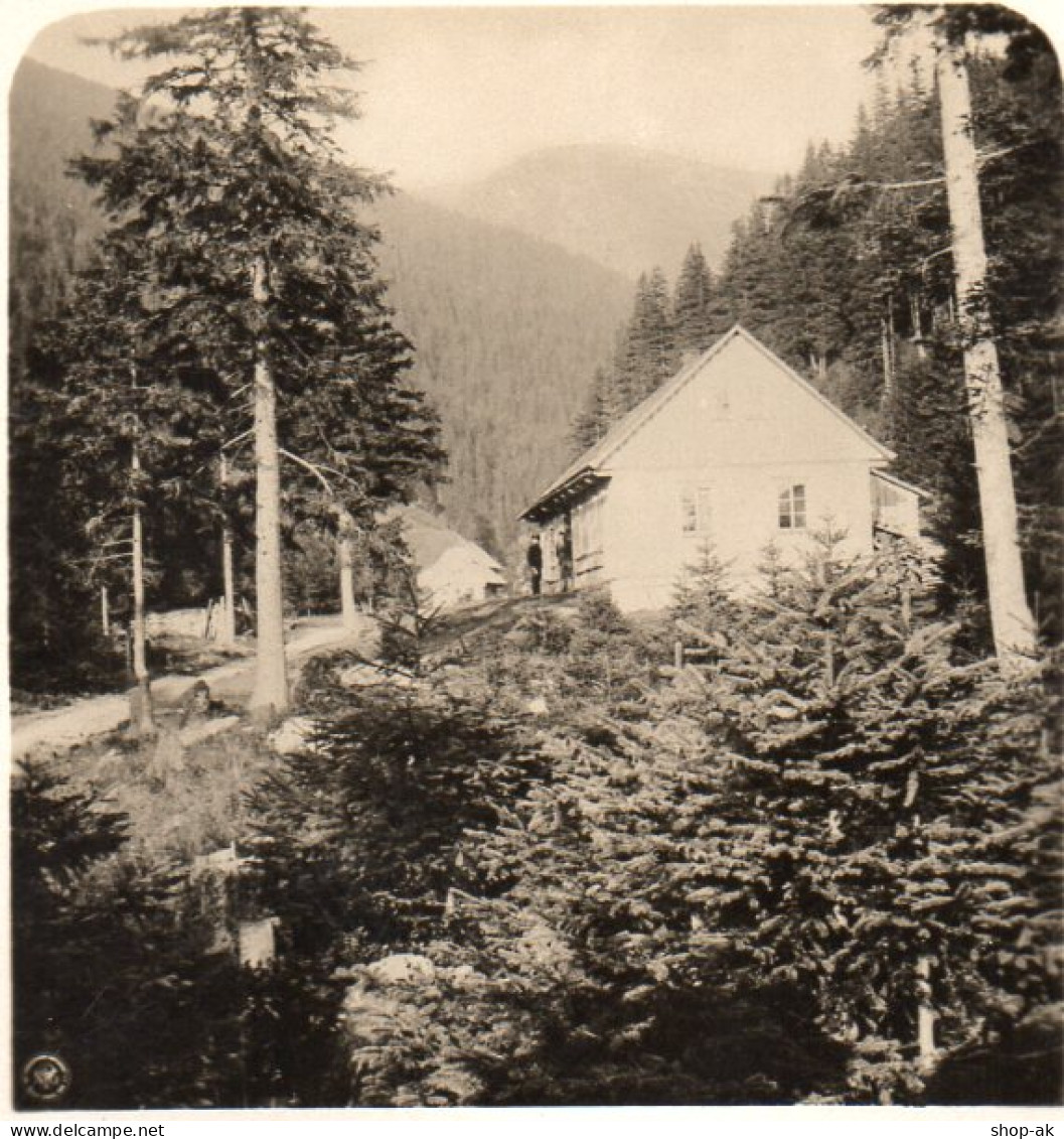 AK-0499/ Riesengebirge Lange Grund Mit Gelergucke Schlesien Stereofoto Ca.1905  - Unclassified