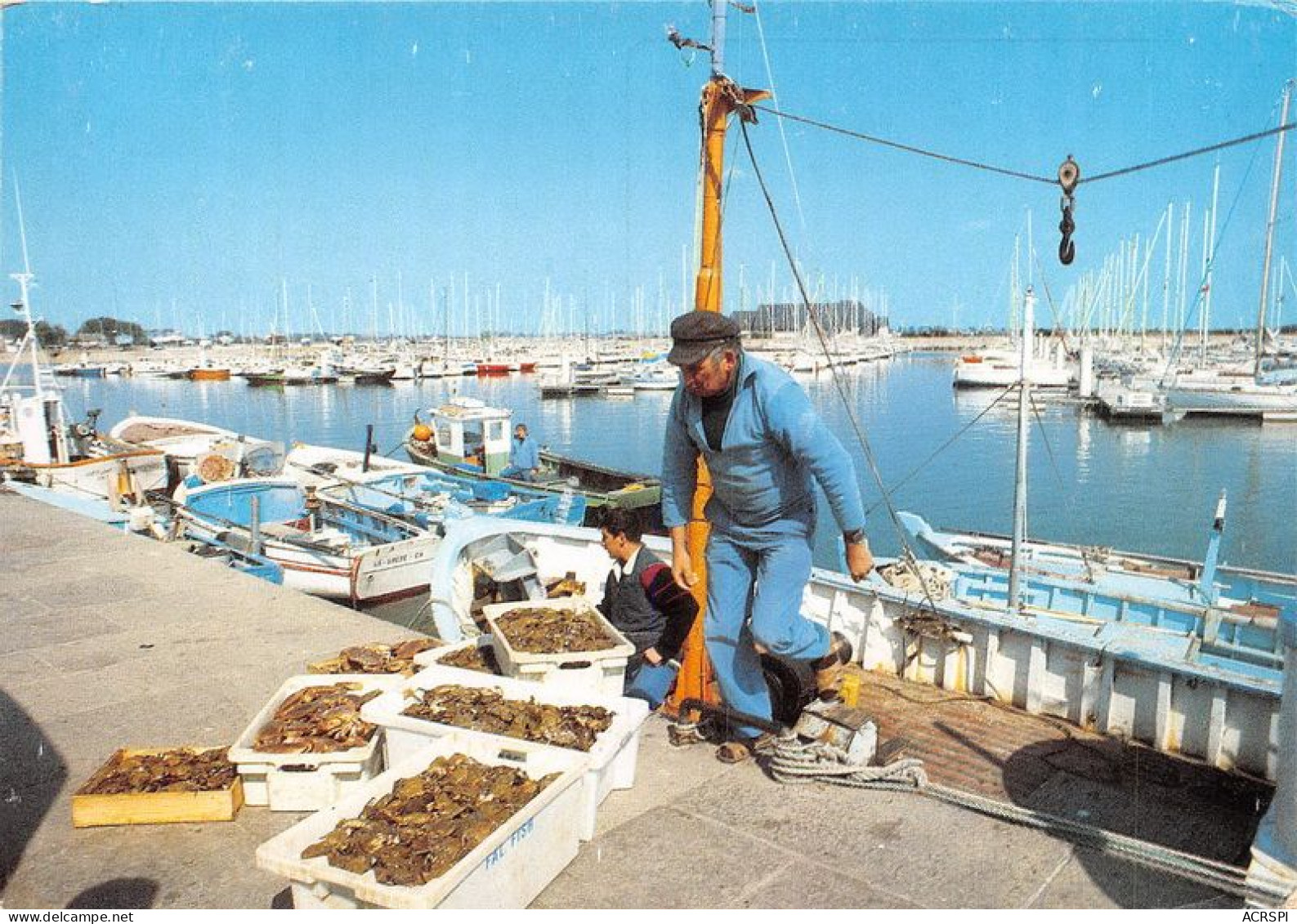 SAINT VAAST LA HOUGUE Le Port De Peche Et De Plaisance Retour Des Pecheurs 2(scan Recto-verso) MA1553 - Saint Vaast La Hougue