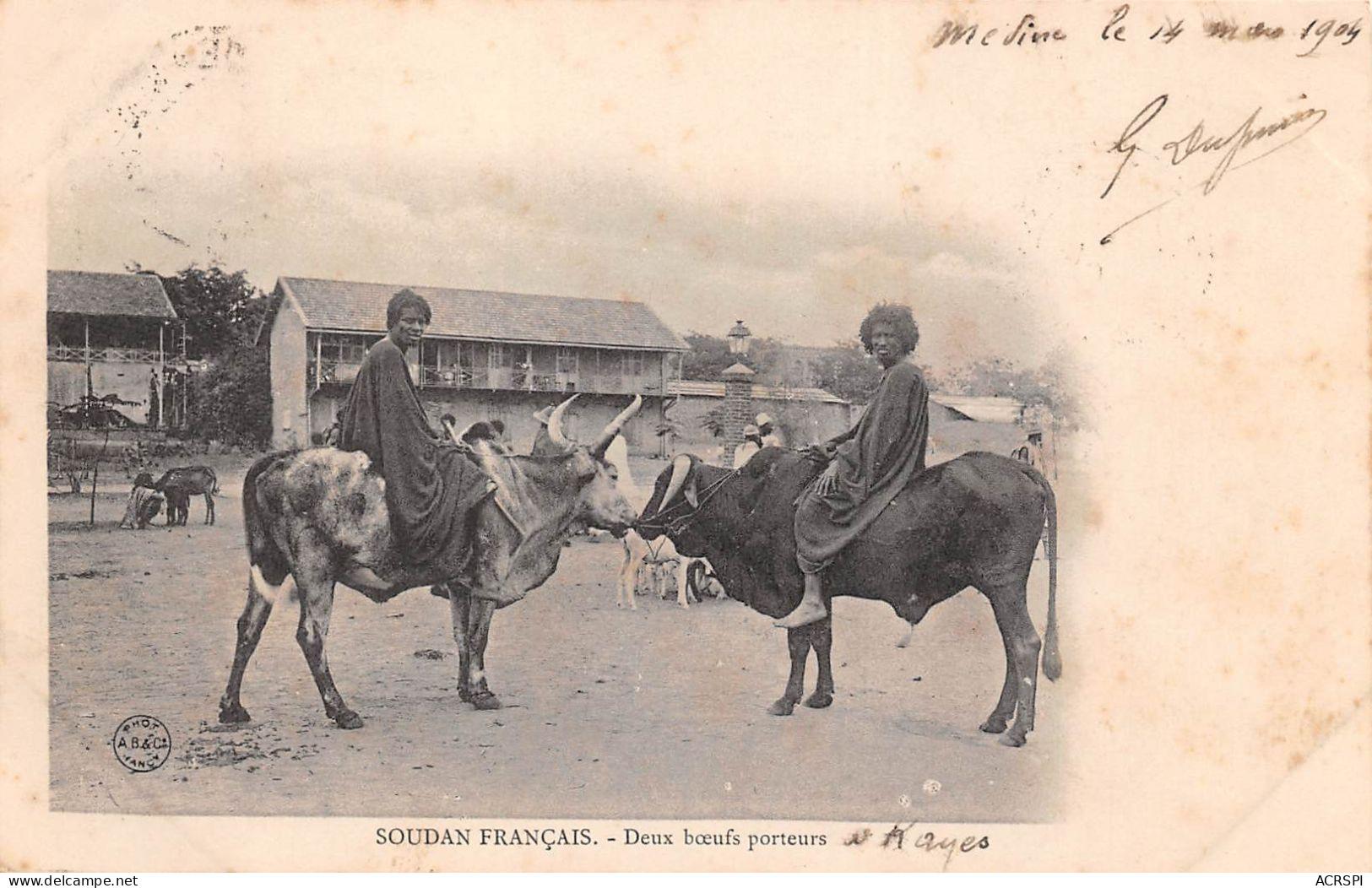 MALI Ancien Soudan Français Medine 2 Boeufs Porteurs En 1904 à KAYES  3 (scan Recto Verso)MA1542BIS - Mali