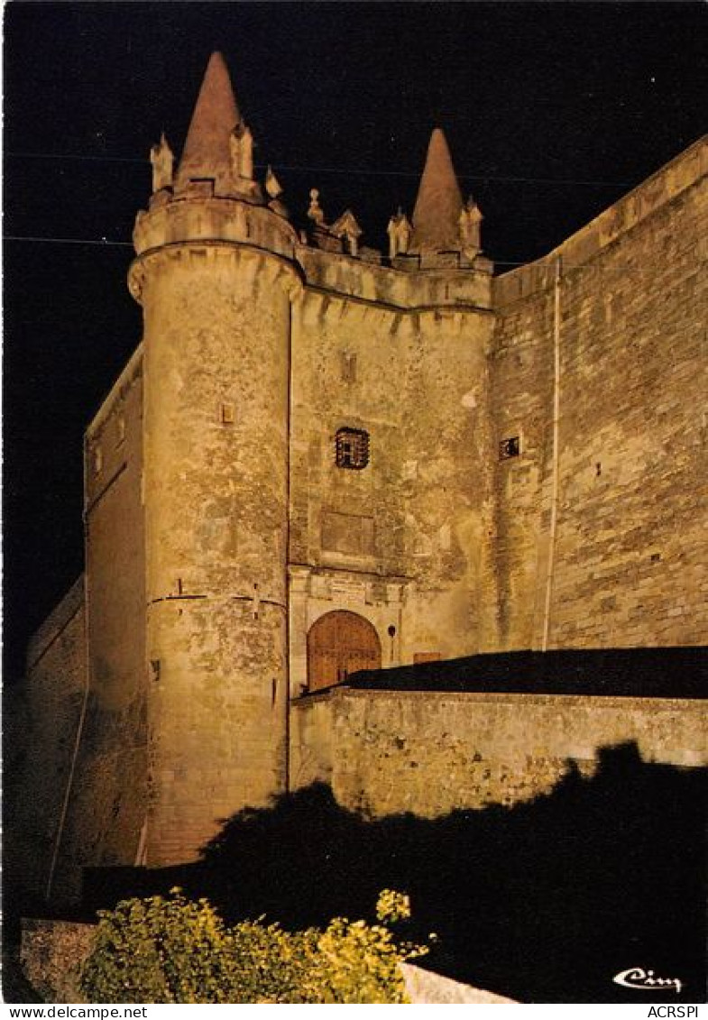 GRIGNAN La Porte Monumentale Du Chateau De Grignan Vue De Nuit 3(scan Recto-verso) MA1563 - Grignan