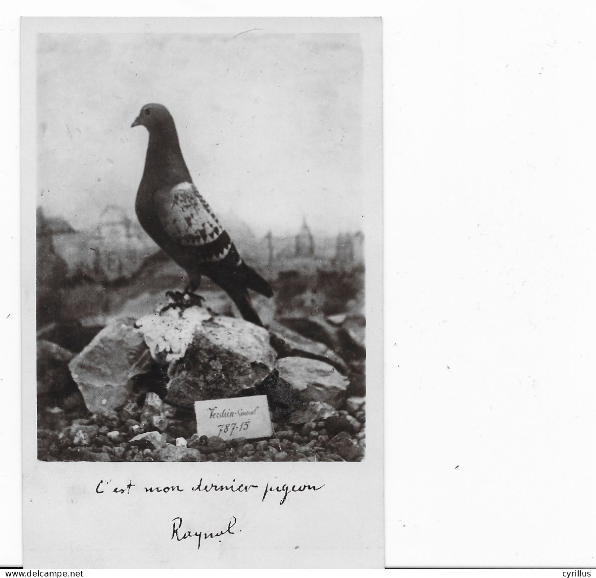 COLOMBOGRAMME DU COMMANDANT RAYNAL DEFENSEUR DU FORT DE VAUX - C EST MON DERNIER PIGEON - Guerra 1914-18