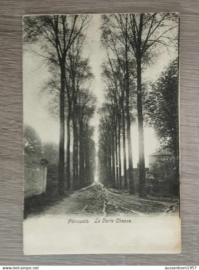 Peruwelz : La Verte Chasse : Carte Dos Non Divisé Envoyée En 1904 - Peruwelz