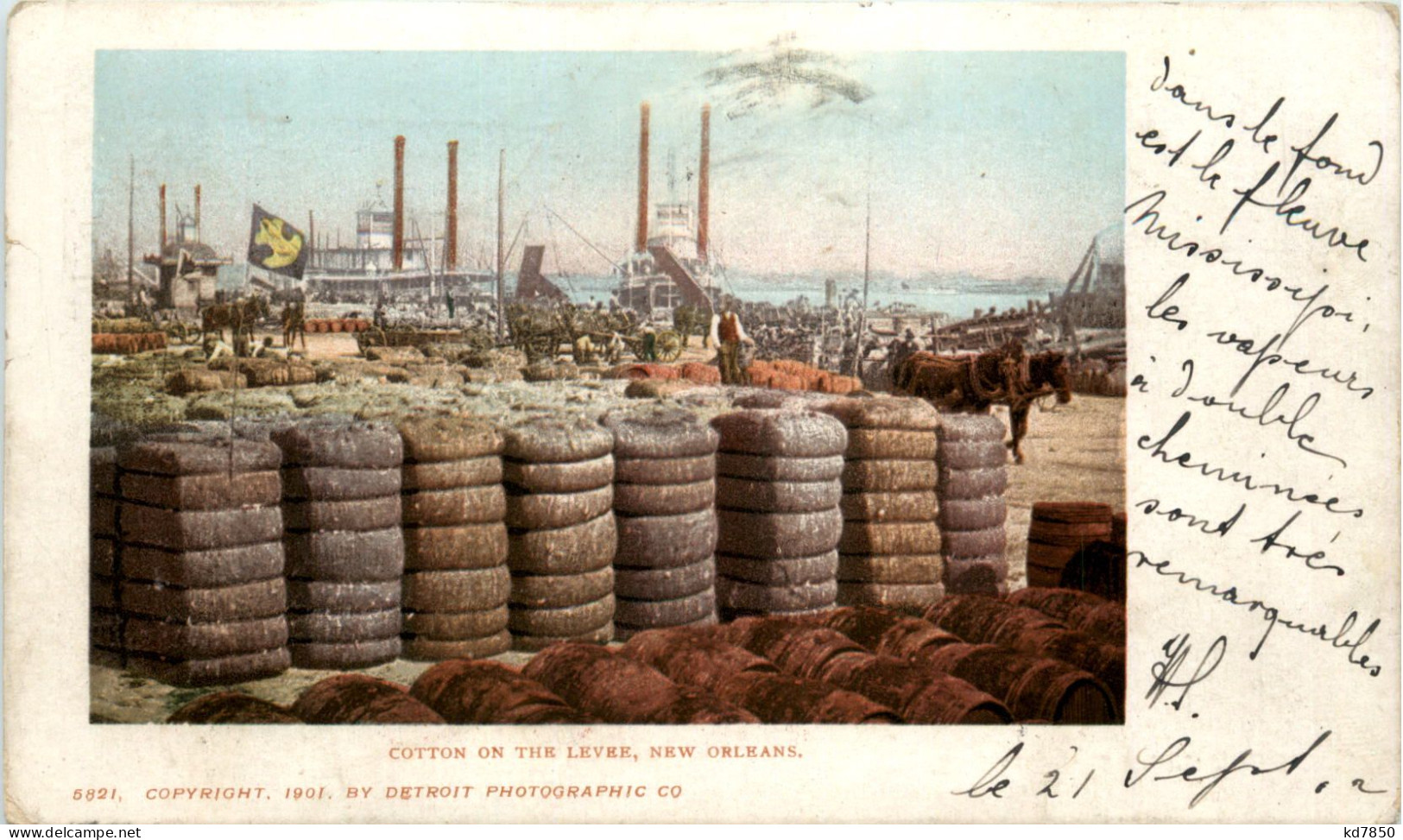 New Orleans - Cotton On The Levee - New Orleans