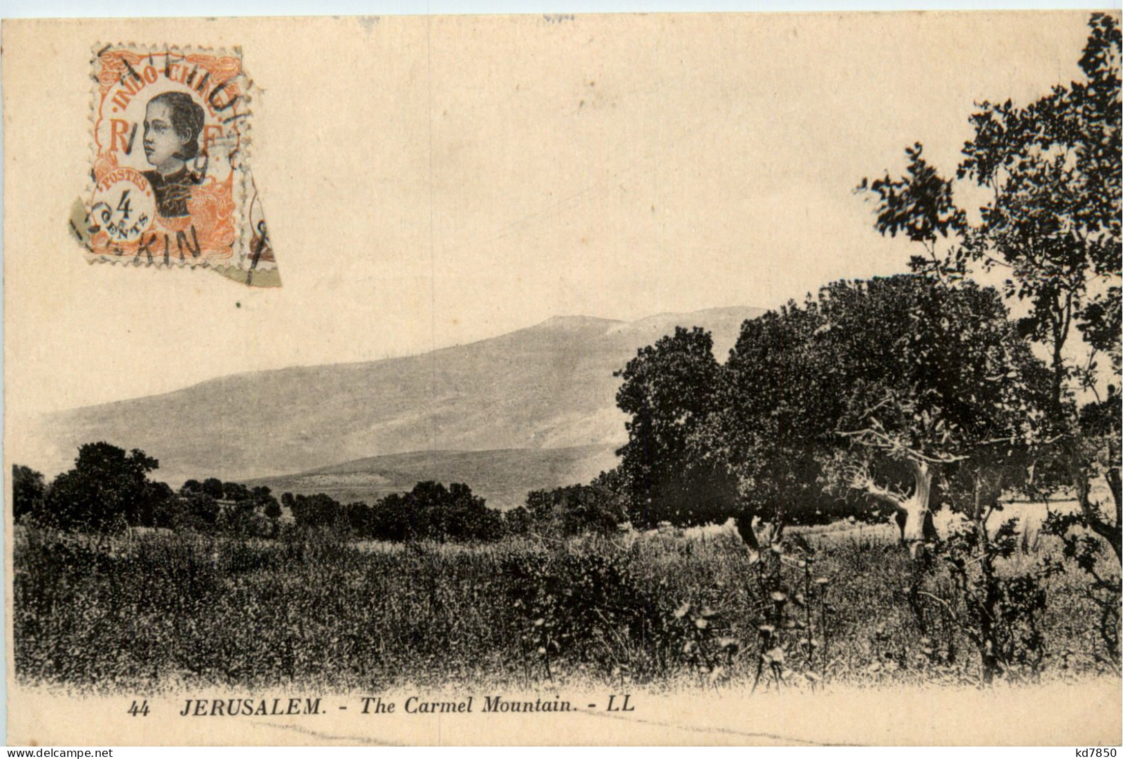 Jerusalem - Carmel Mountain - Palestine