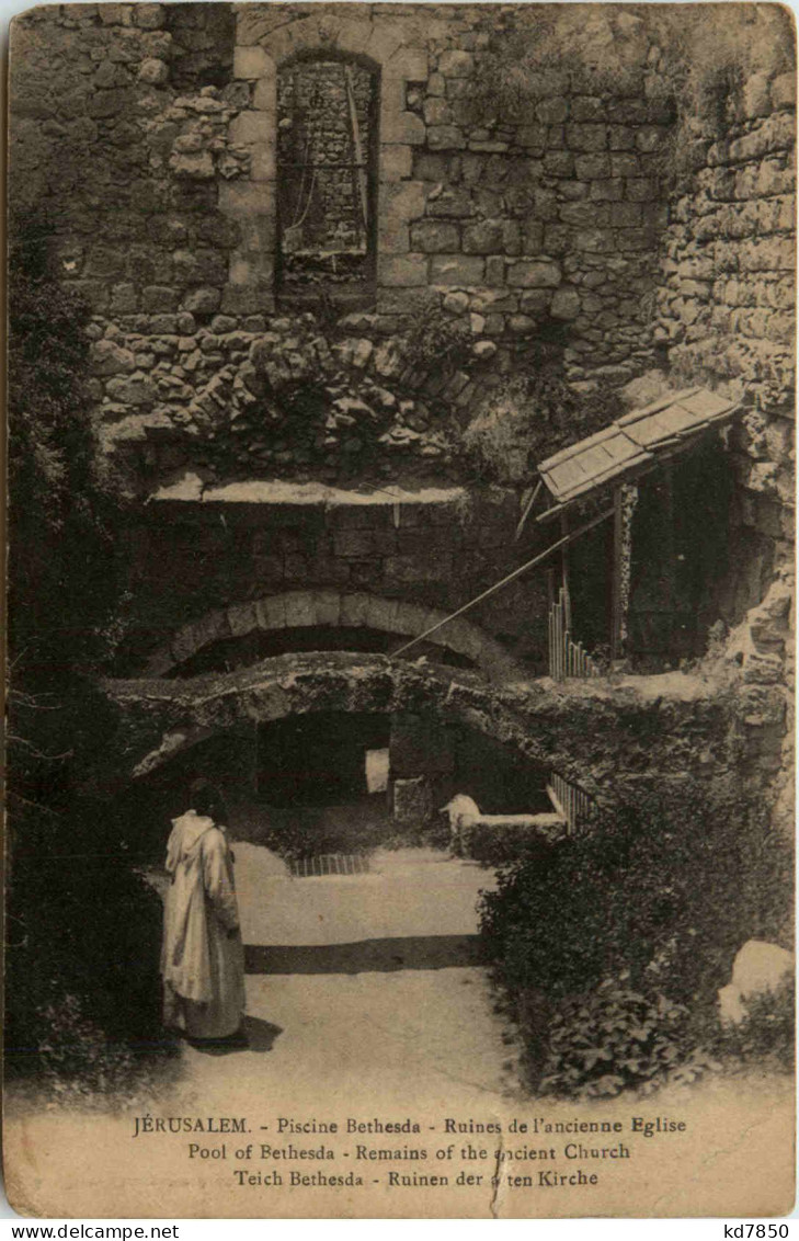 Jerusalem - Piscine Bethesda - Palestine