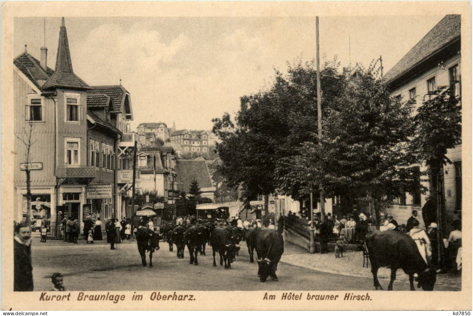 Braunlage Im Oberharz - Hotel Brauner Hirsch - Braunlage