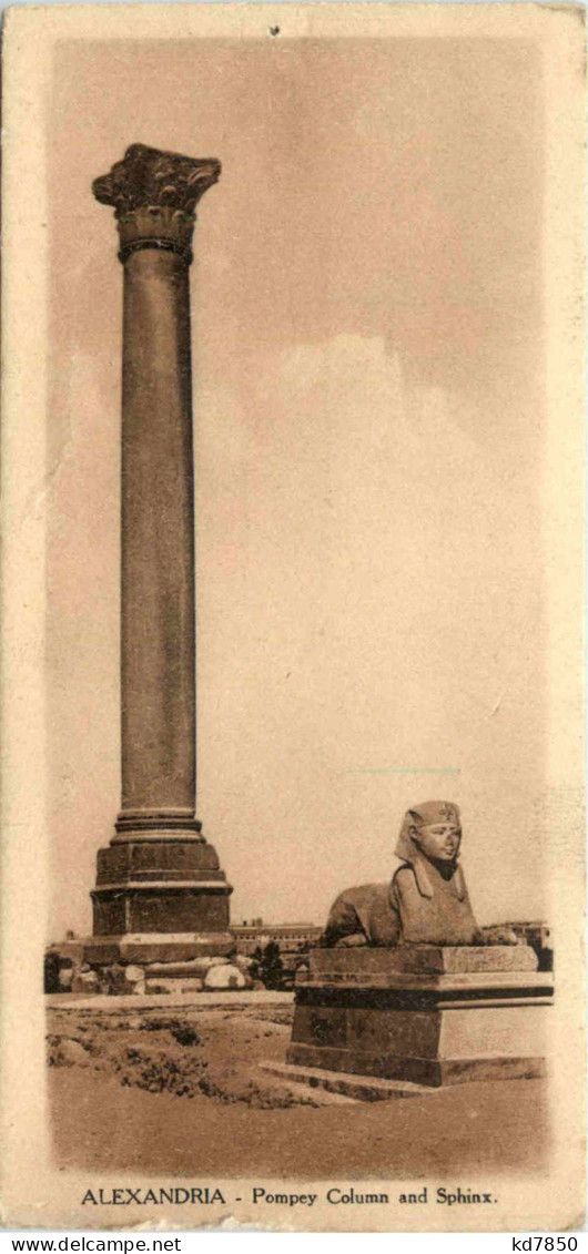 Alexandria - Pompey Column And Sphinx - Alexandria