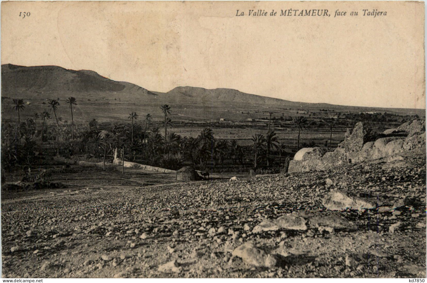 Vallee De Metameur, Face Au Tadjera - Autres & Non Classés