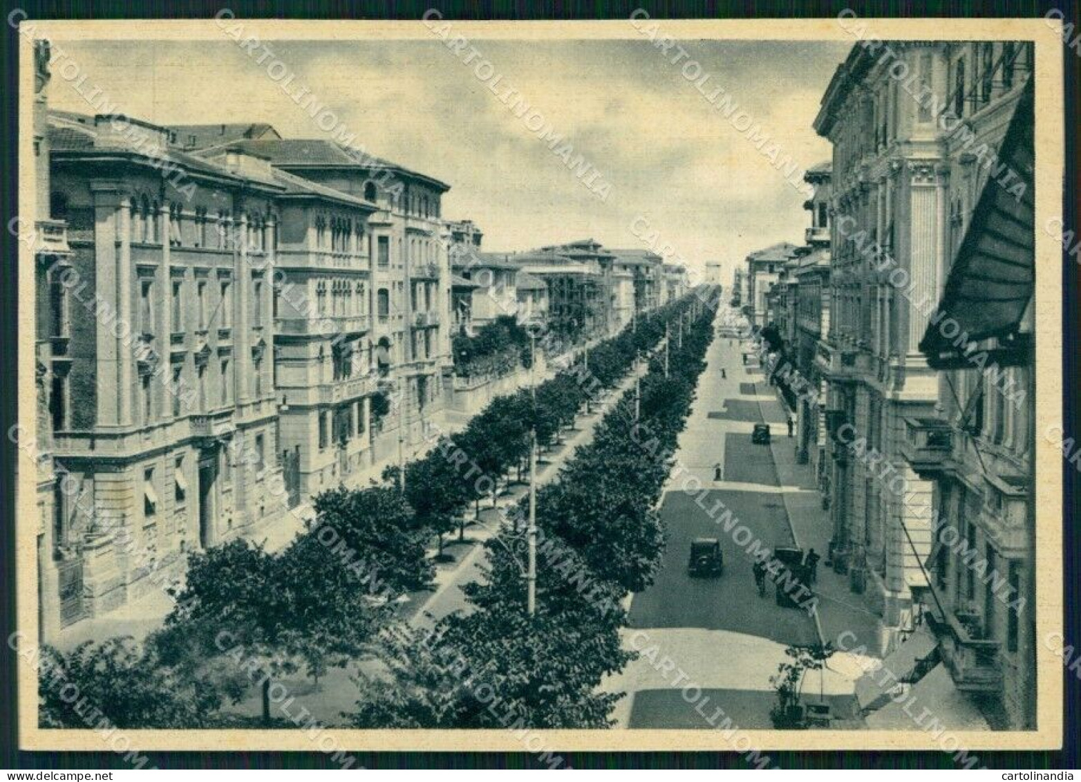 Ancona Città Viale Della Vittoria FG Foto Cartolina RB5533 - Ancona