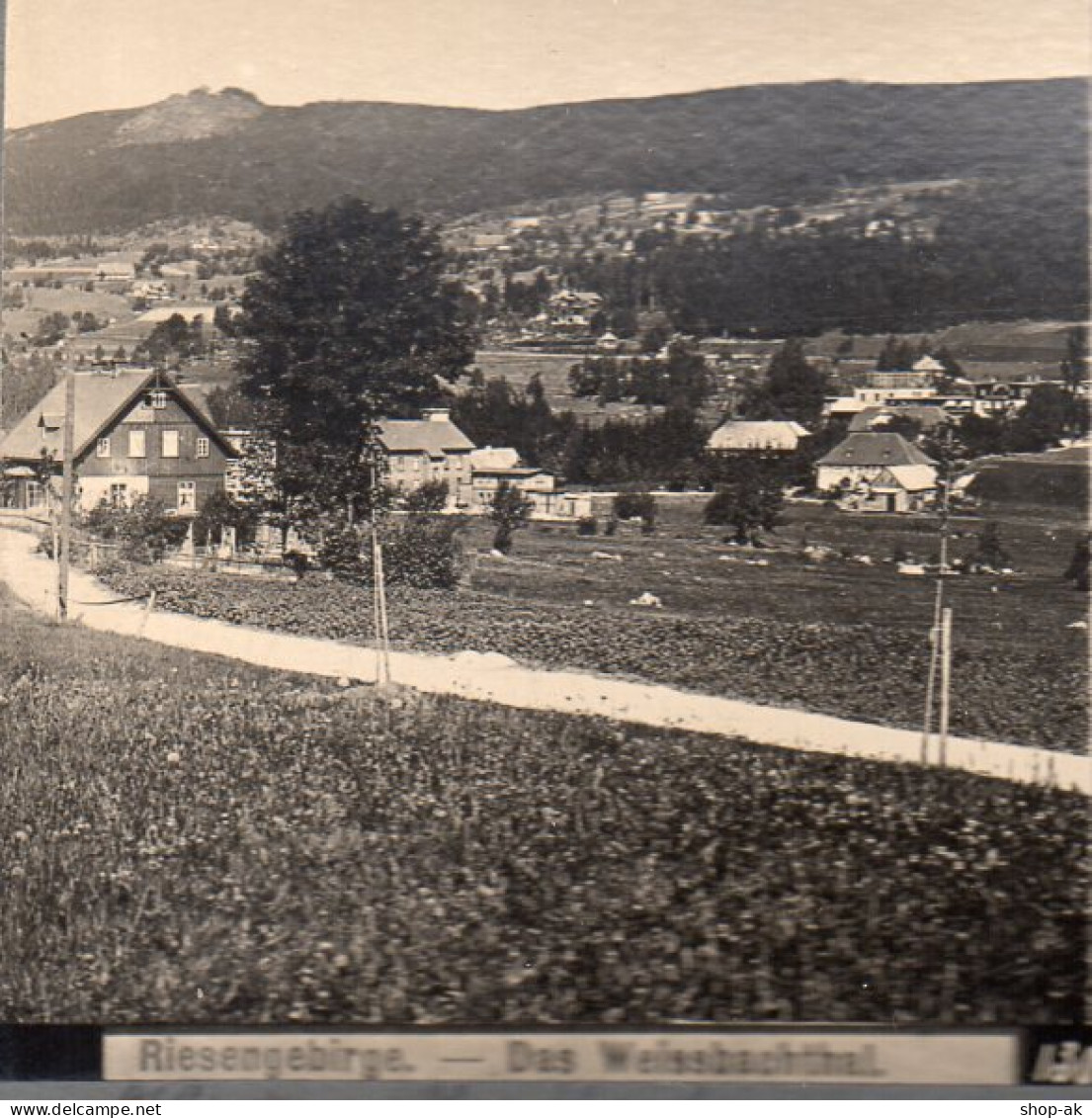AK-01043/ Riesengebirge Das Weissbachtal  Schlesien Stereofoto Ca.1905  - Non Classés