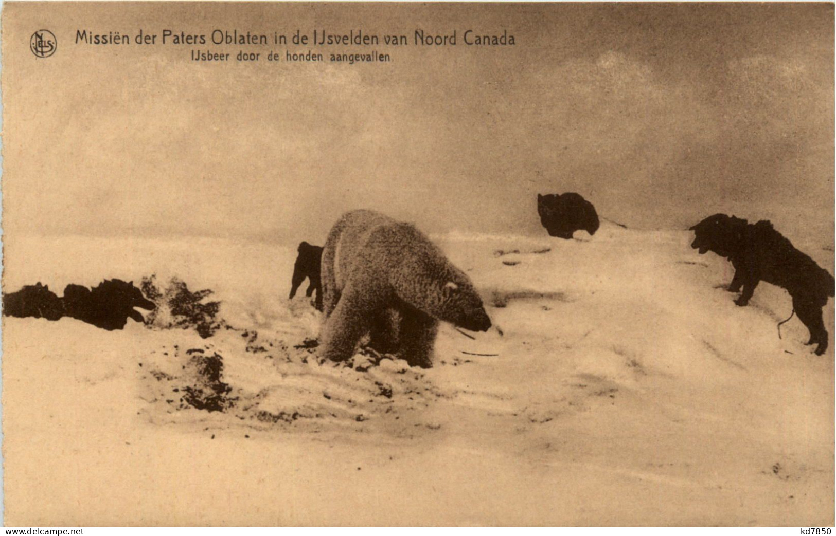 Missions Nord Canada Polarbear - Zonder Classificatie