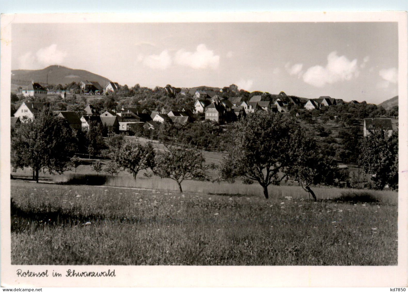 Rotensol Im Schwarzwald - Bad Herrenalb