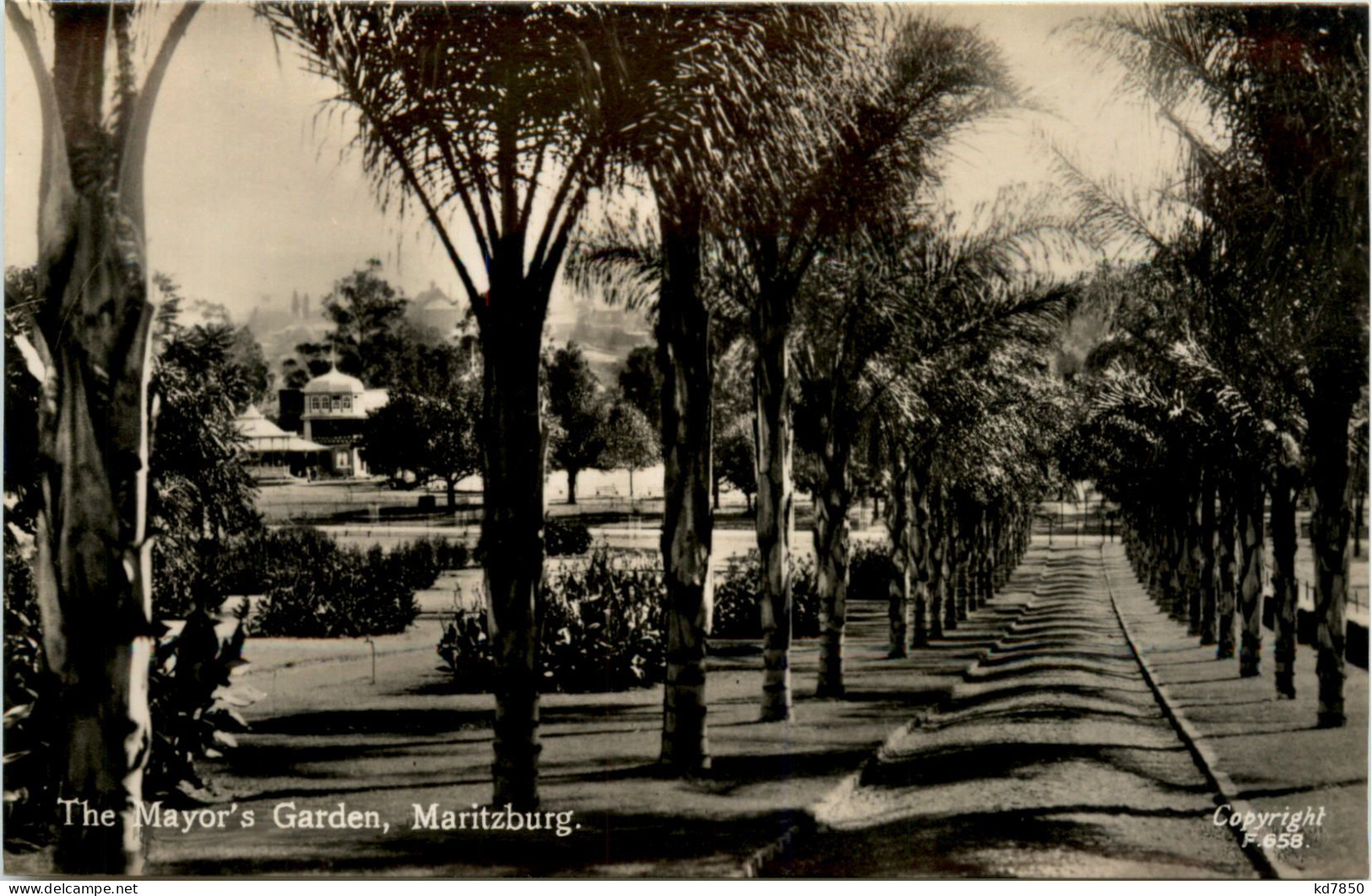 Maritzburg - Mayors Garden - Sud Africa