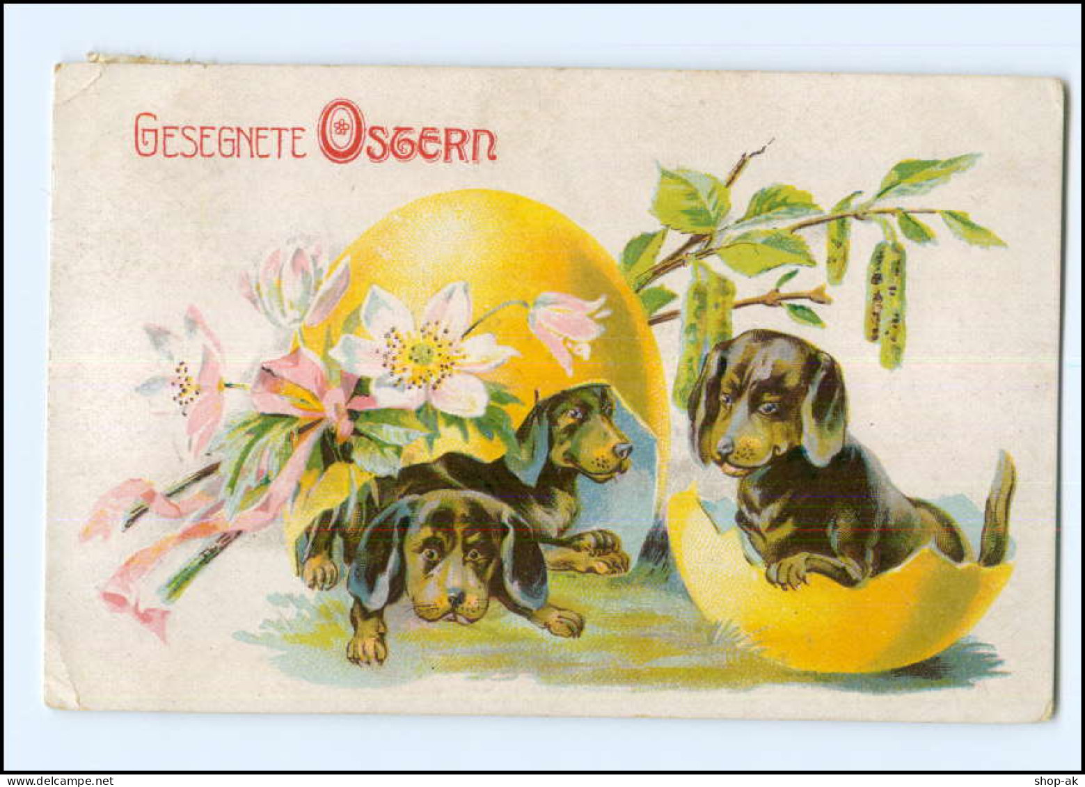 XX002900/ Ostern Litho Ak Dackel 1920 - Hunde