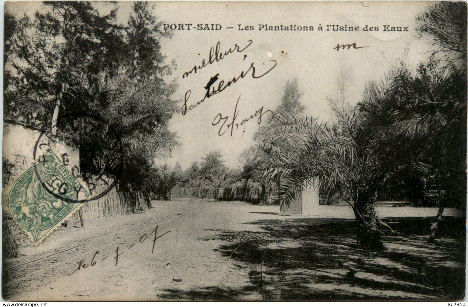 Port Said - Les Plantations A Usine Des Eaux - Port Said