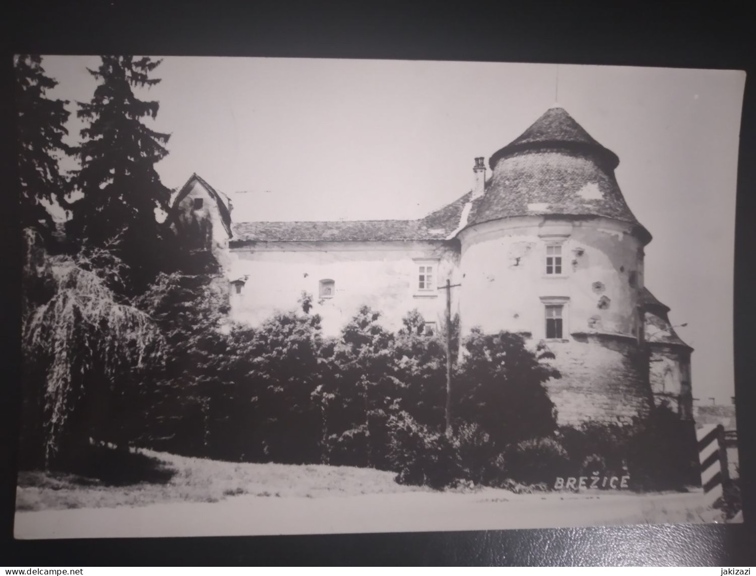 Brežice. Castle. Grad - Schlösser