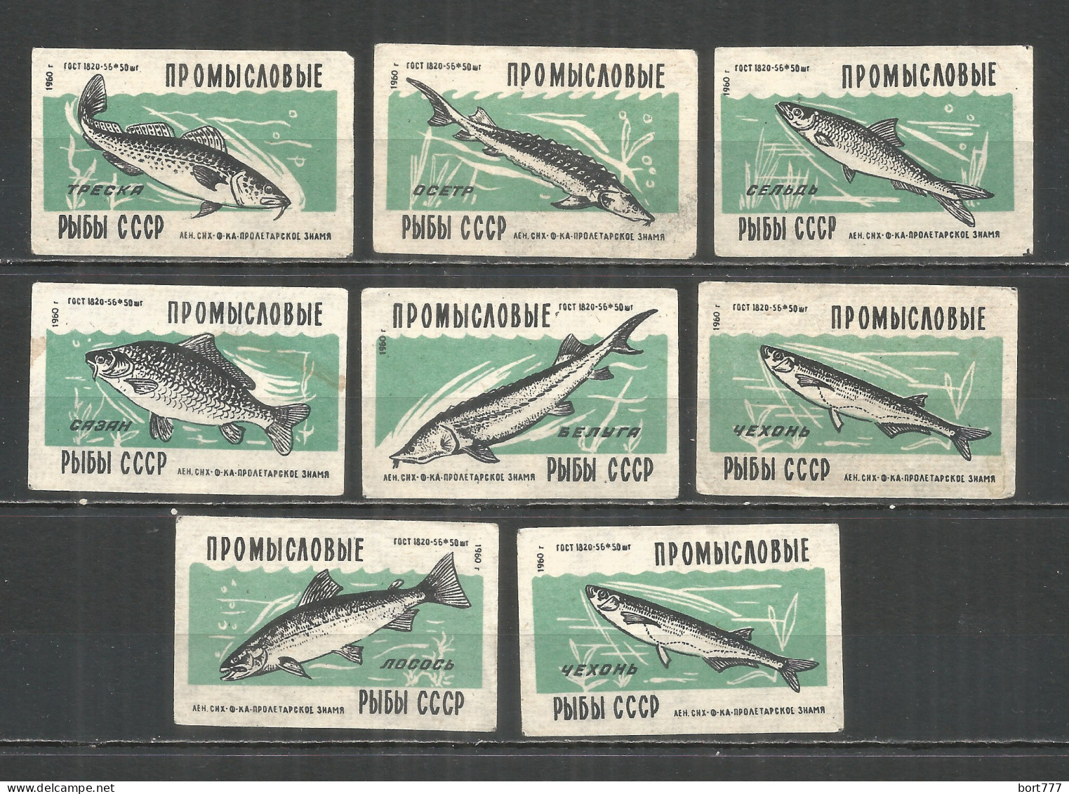 RUSSIA USSR 1960 Matchbox Labels 8v - Fish - Luciferdozen - Etiketten