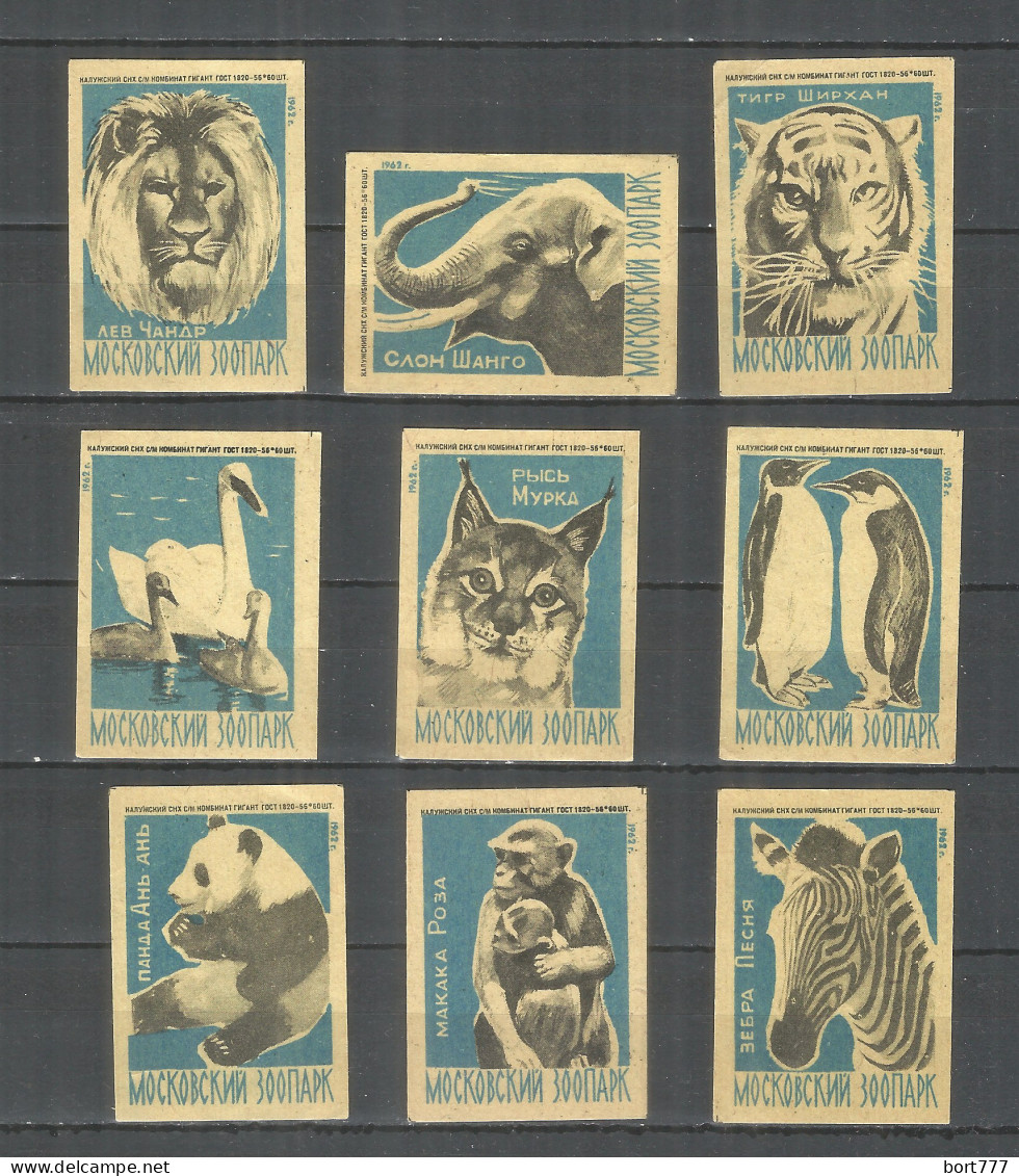 RUSSIA USSR 1962 Matchbox Labels 9v - Moscow Zoo - Luciferdozen - Etiketten