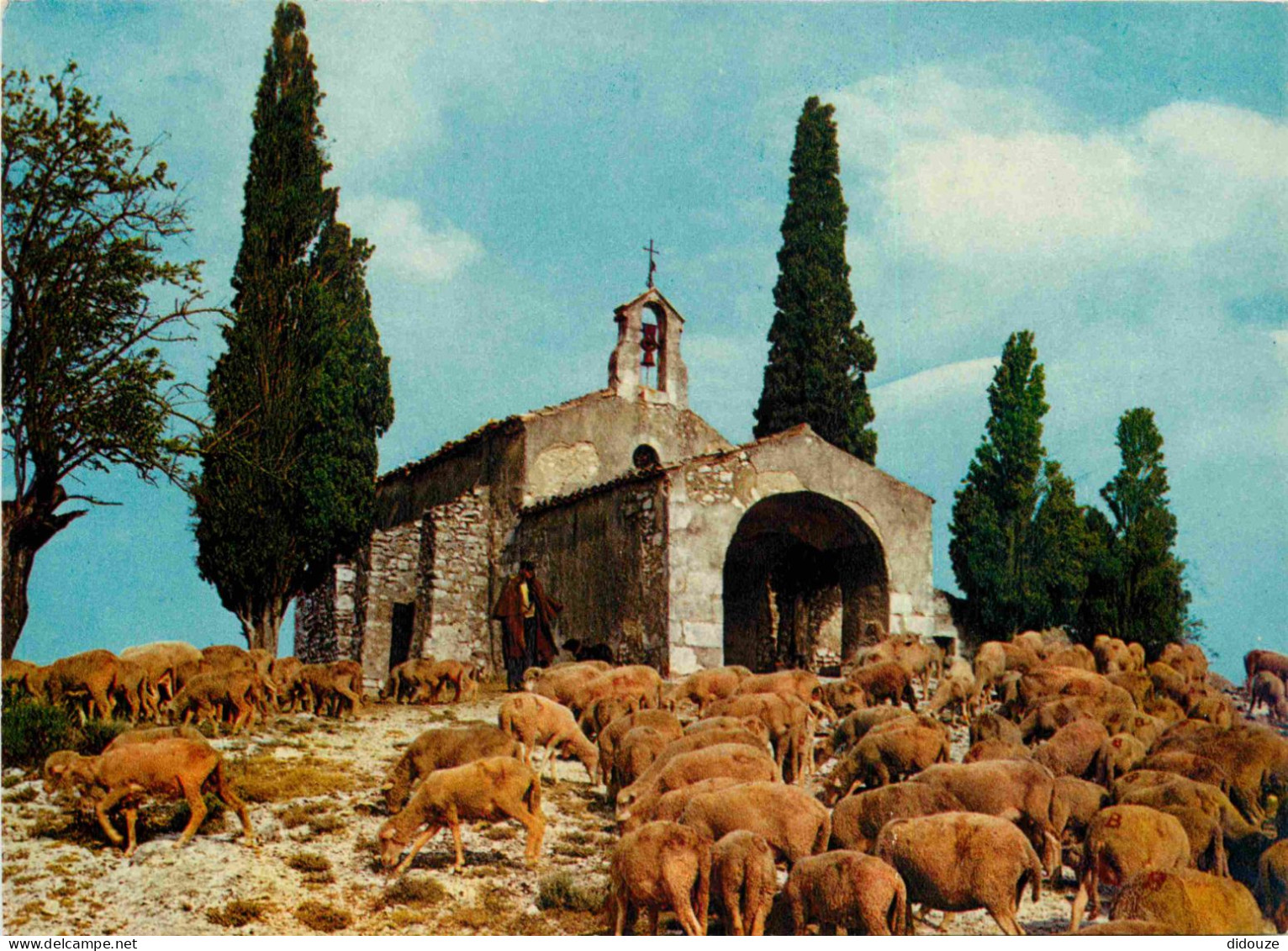 13 - Eygalières - Chapelle Saint Sixte - Moutons - CPM - Voir Scans Recto-Verso - Other & Unclassified