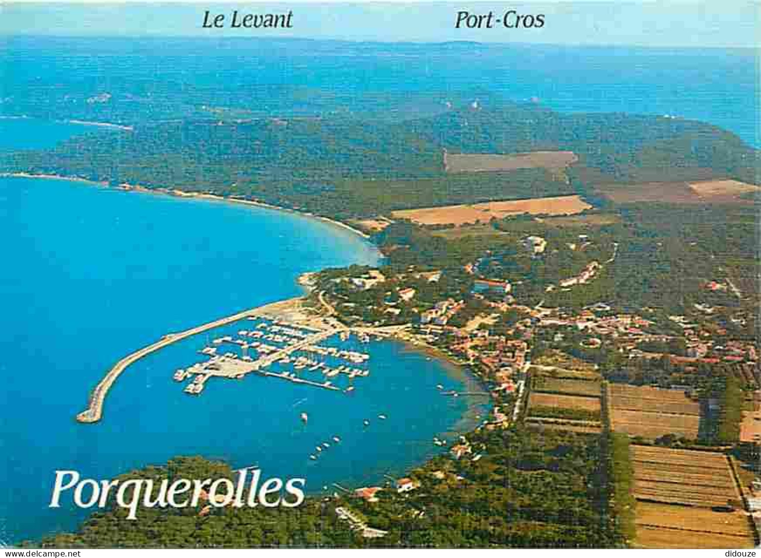 83 - Ile De Porquerolles - Carte Neuve - CPM - Voir Scans Recto-Verso - Porquerolles