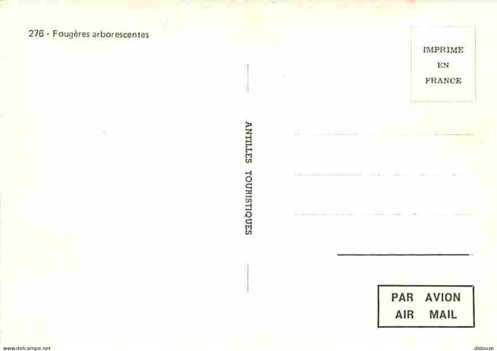 Antilles - Fougères Arborescentes - Carte Neuve - CPM - Voir Scans Recto-Verso - Otros & Sin Clasificación