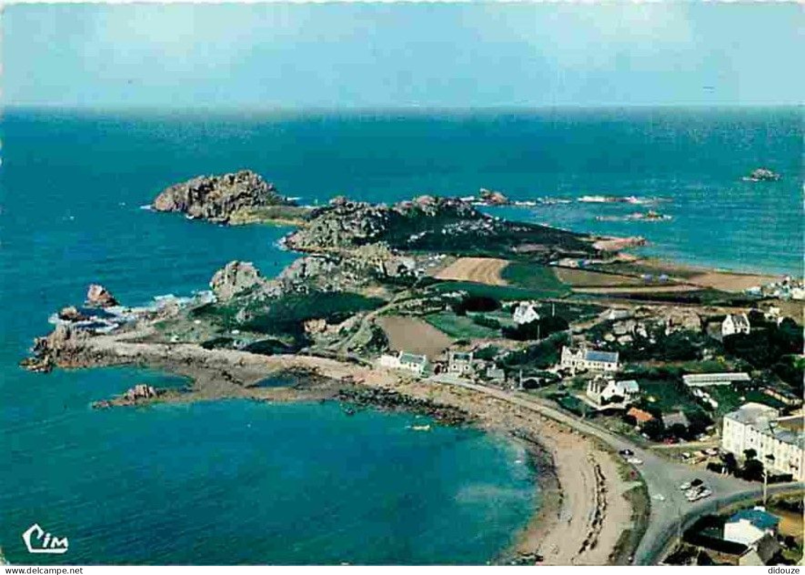 29 - Plougasnou - Primel - Trégastel - La Pointe De Trégastel - Vue Aérienne - Voir Scans Recto Verso  - Plougasnou