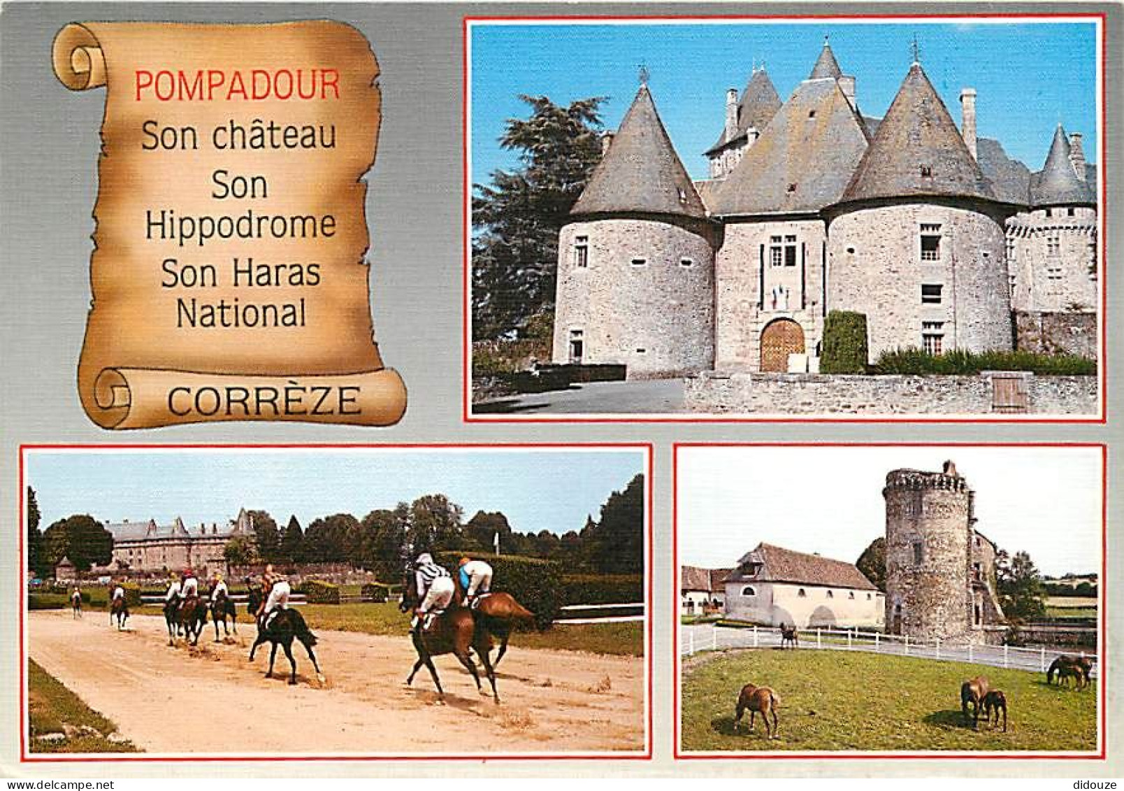 19 - Pompadour - Multivues - Chevaux - Carte Neuve - CPM - Voir Scans Recto-Verso - Arnac Pompadour