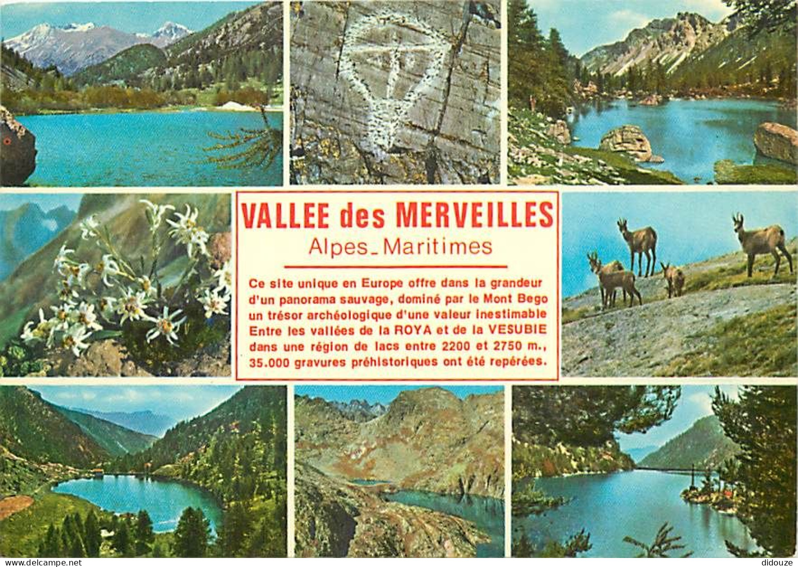 06 - Vallée Des Merveilles - Multivues - Gravures Préhistoriques - CPM - Carte Neuve - Voir Scans Recto-Verso - Andere & Zonder Classificatie