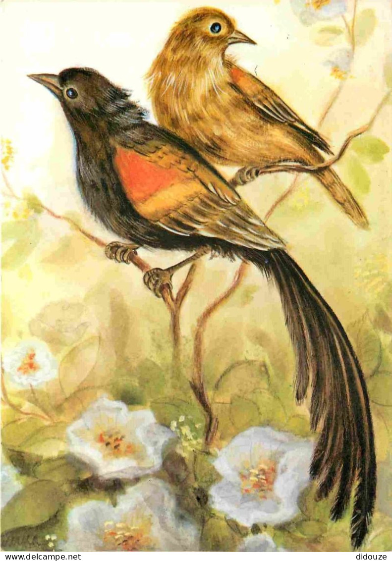 Animaux - Oiseaux - Art Peinture - CPM - Voir Scans Recto-Verso - Oiseaux