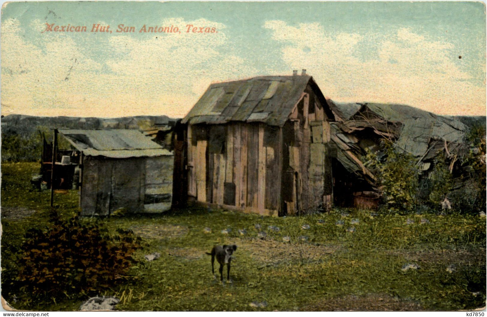 Texas - San Antonio - Mexican Hut - Other & Unclassified