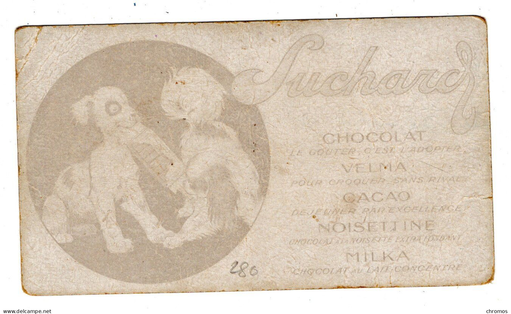 Rare Chromo Chocolat Suchard, S 280 / 6, Chien, King-Charles - Suchard